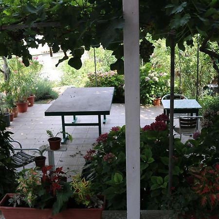 Villa Katarina Losinj Island Mali Lošinj Exteriör bild