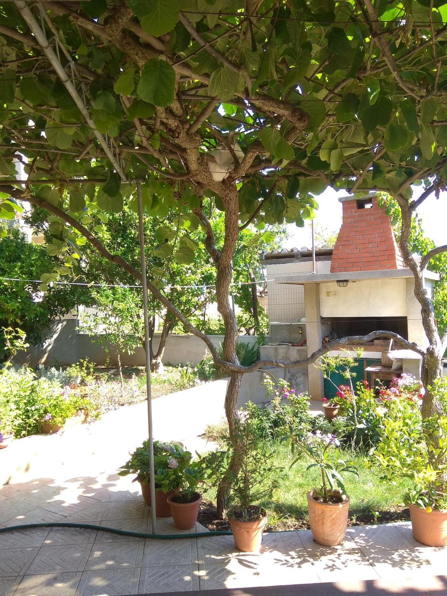 Villa Katarina Losinj Island Mali Lošinj Exteriör bild