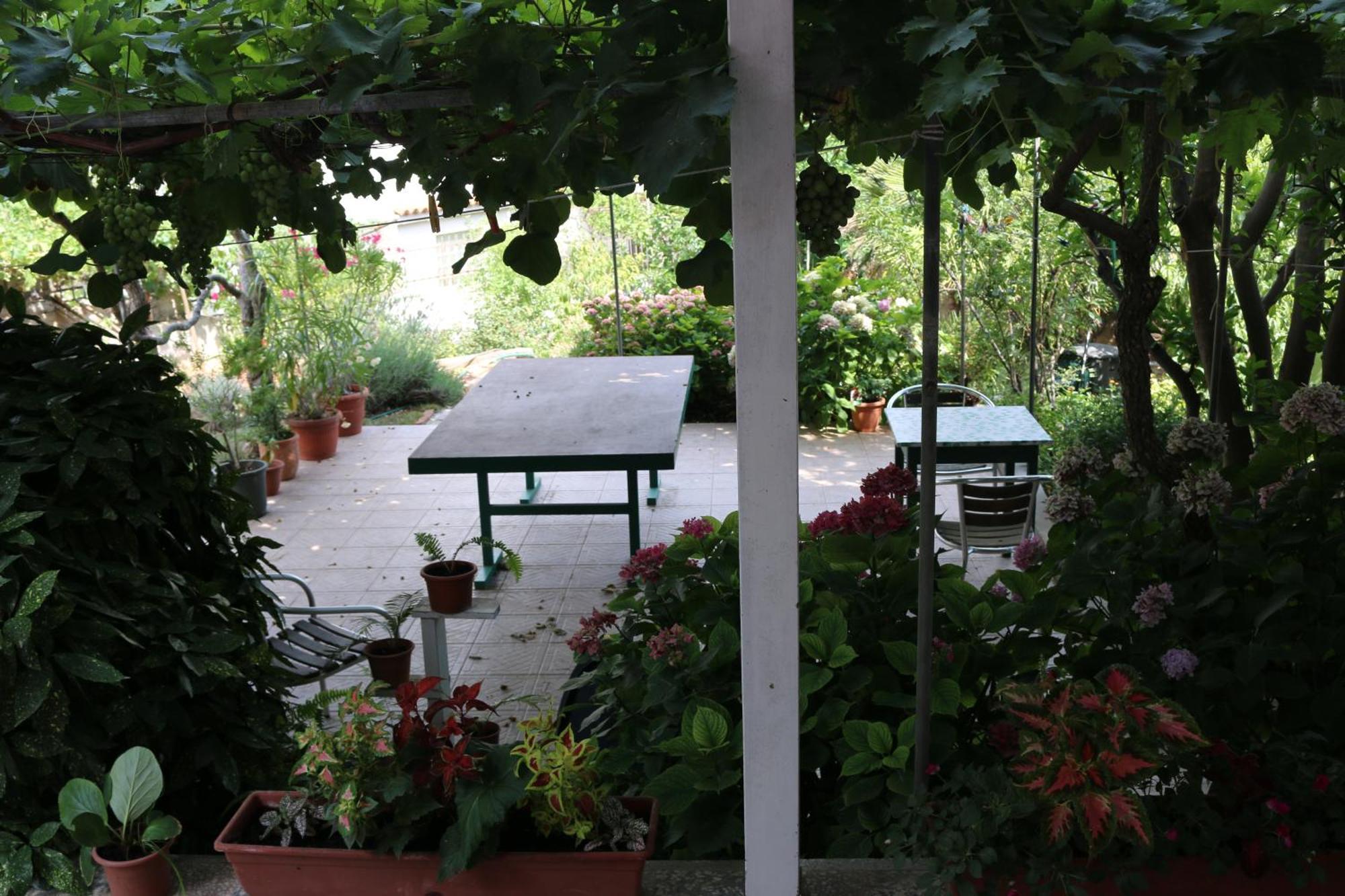 Villa Katarina Losinj Island Mali Lošinj Exteriör bild