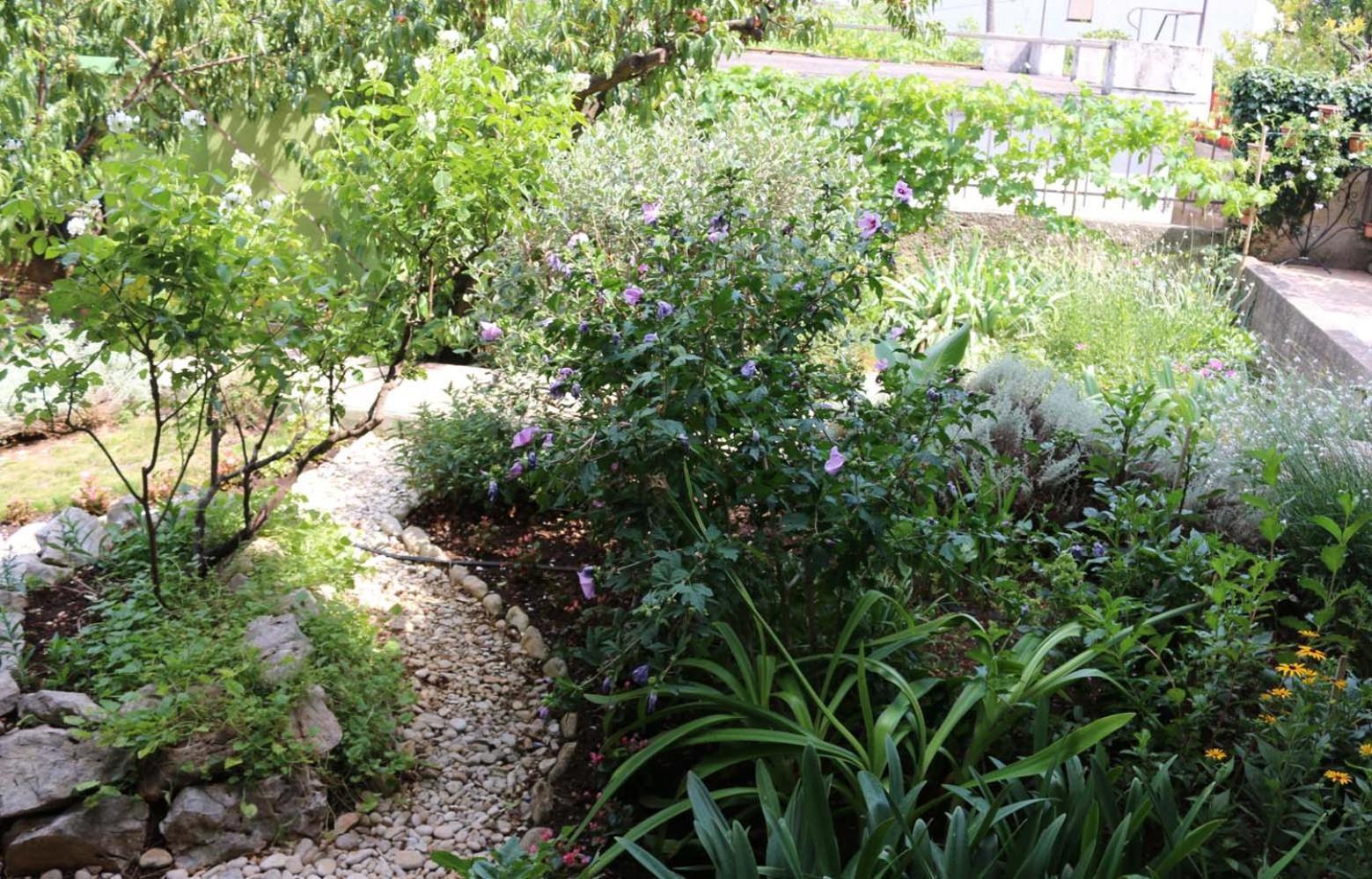 Villa Katarina Losinj Island Mali Lošinj Exteriör bild